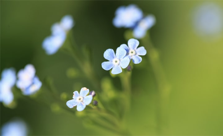 生産 事業内容｜日東薬品工業株式会社